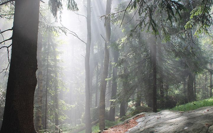 Oferta idealnie dopasowana do gości Zajazdu u Hermanów